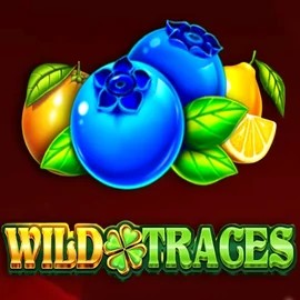 Play the Wild Traces slot by Amusnet Interactive on Verde Casino